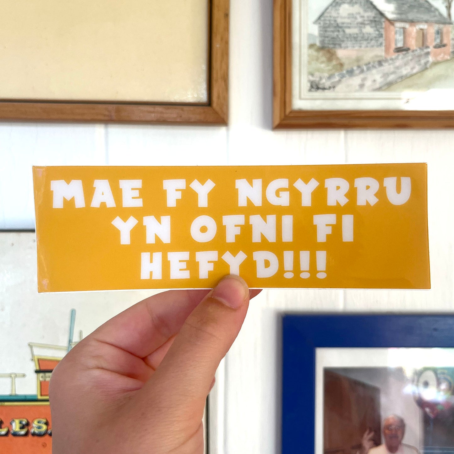 'Mae Fy Ngyrru Yn Ofni Fi Hefyd' Bumper