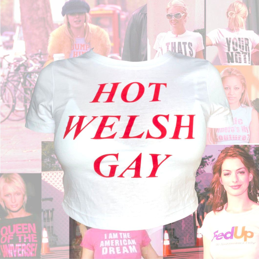 Hot Welsh Gay Baby Tee